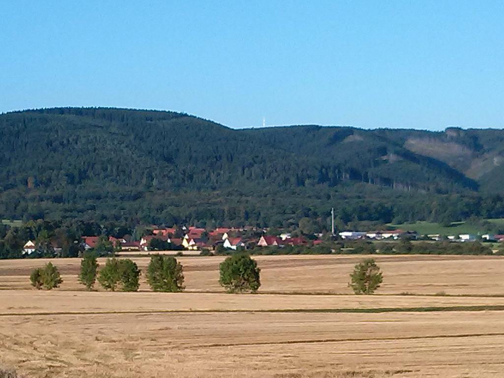 Ferienwohnung Osterbrink Ilsenburg Eksteriør bilde